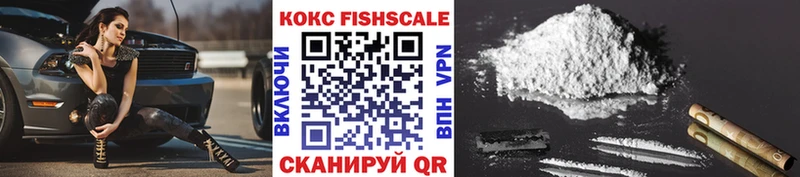 Cocaine FishScale  Купить где  Соликамск 