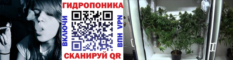 Канабис Bruce Banner Соликамск