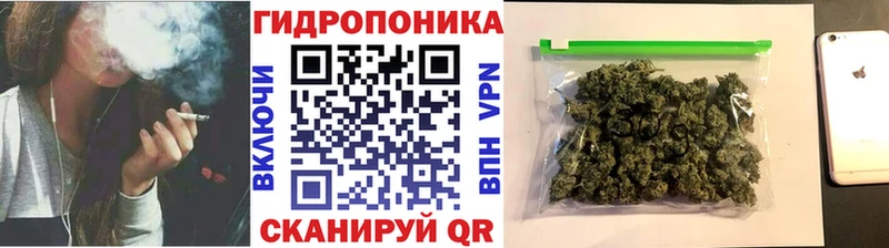 Купить  Соликамск  Бошки марихуана план 